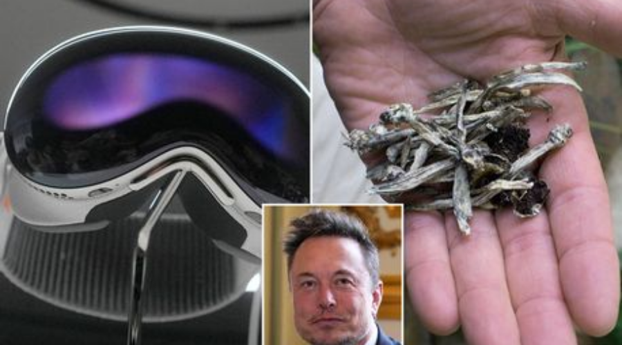 Elon Musk kundërshton $3000, sugjeron ‘kërpudhat magjike’