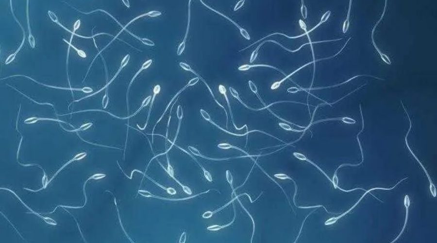 Qelizat e spermës sfidojnë ligjin e tretë të Njutonit